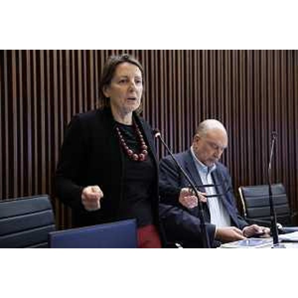 Chiara Da Giau (Pd) - Chiara Da Giau (Pd)