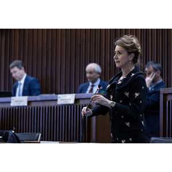 Mara Piccin (FI) - Mara Piccin (FI)