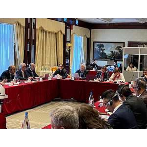 Un momento dell'incontro sul progetto Tamsall organizzato a Bologna - Un momento dell'incontro sul progetto Tamsall organizzato a Bologna