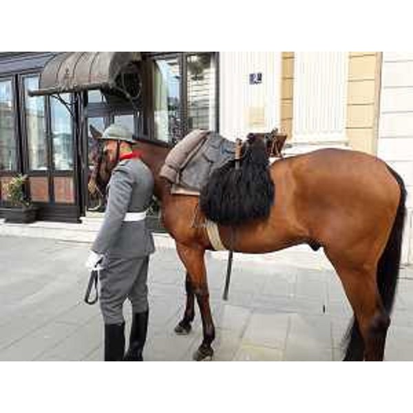 Il Reggimento "Piemonte Cavalleria" ha da poco celebrato il 330° anniversario della fondazione avenuta il 23 luglio 1692. - Il Reggimento "Piemonte Cavalleria" ha da poco celebrato il 330° anniversario della fondazione avenuta il 23 luglio 1692.