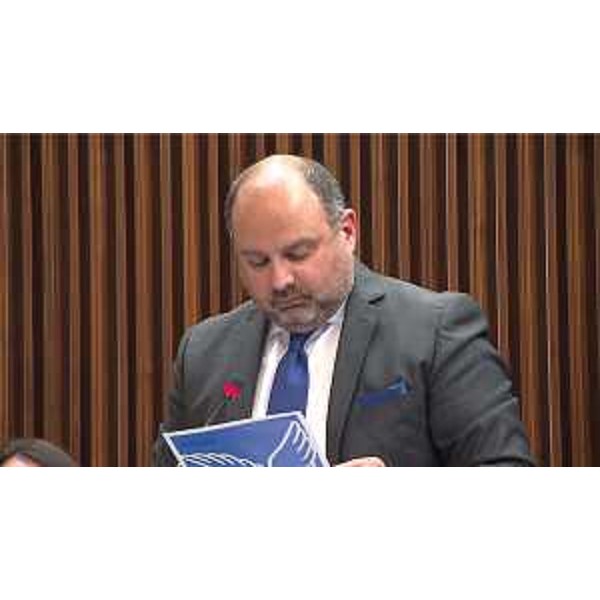 Diego Moretti (Pd) - Diego Moretti (Pd)