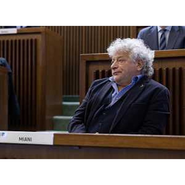 Elia Miani (Lega) - Elia Miani (Lega)