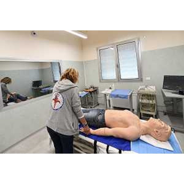 Il simulatore Hal s5301 - Il simulatore Hal s5301