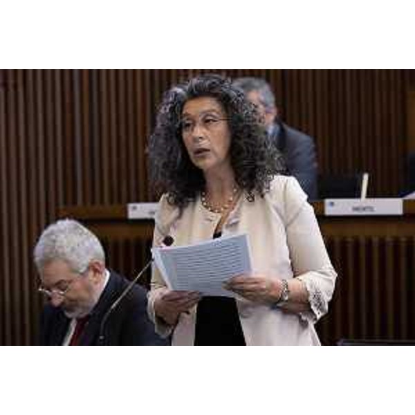 Serena Pellegrino (Alleanza VS) - Serena Pellegrino (Alleanza VS)