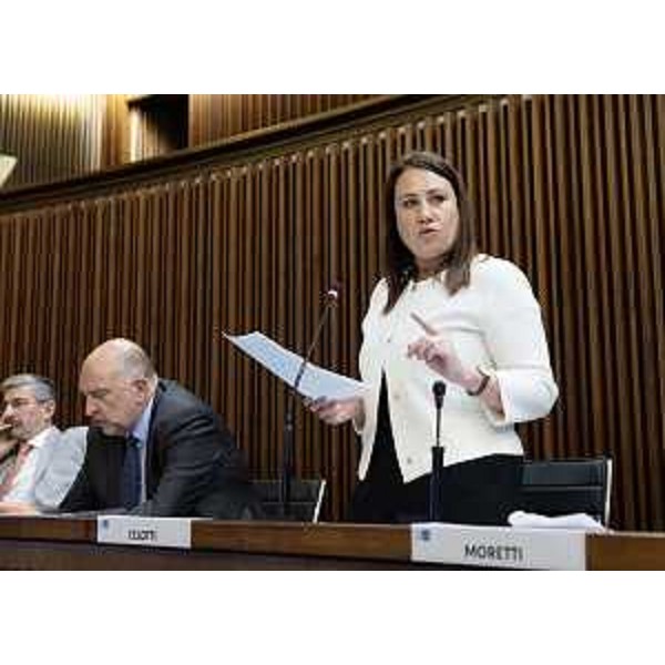 Manuela Celotti (Pd) - Manuela Celotti (Pd)