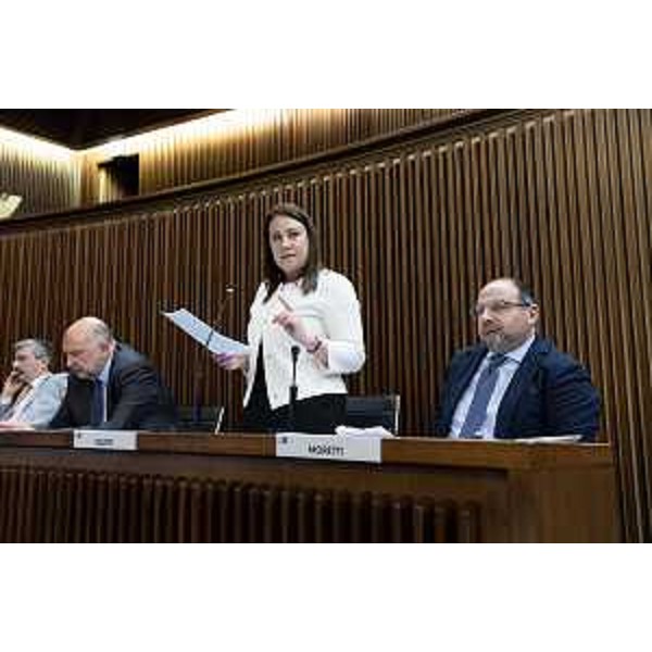 L'intervento di Manuela Celotti (Pd) - L'intervento di Manuela Celotti (Pd)