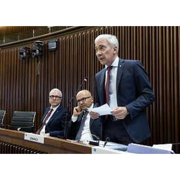 Riccardo Novelli (FI) - Riccardo Novelli (FI)