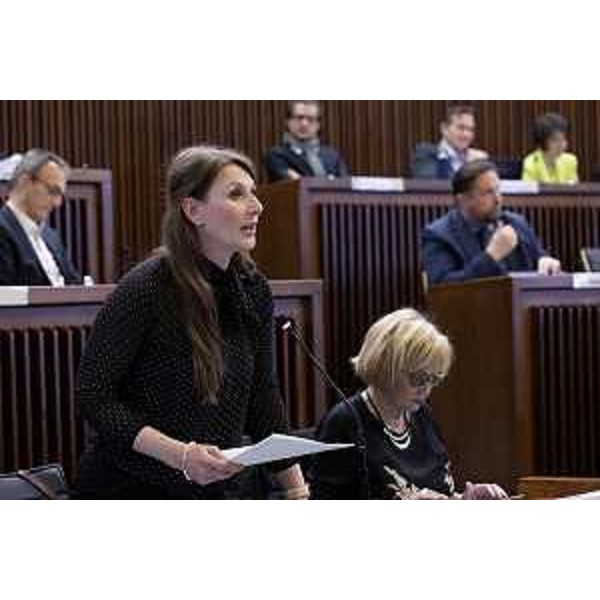 Rosaria Capozzi (Misto) - Rosaria Capozzi (Misto)