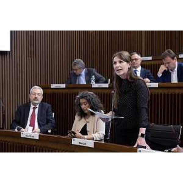 Rosaria Capozzi (M5S) - Rosaria Capozzi (M5S)