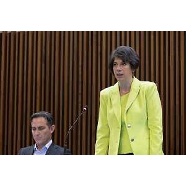 Giulia Massolino (Patto per l'Autonomia-Civica Fvg) - Giulia Massolino (Patto per l'Autonomia-Civica Fvg)