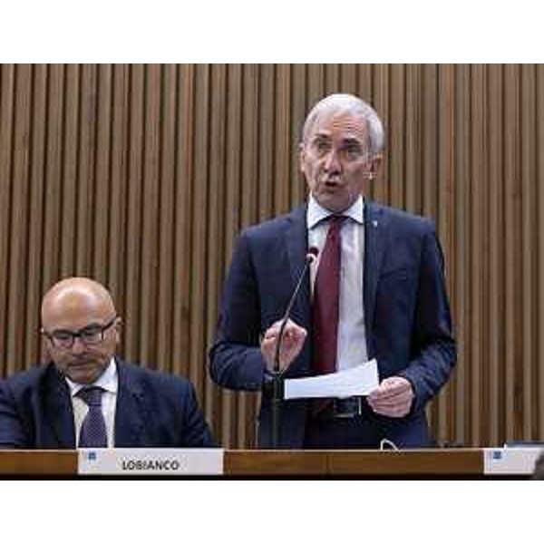 Roberto Novelli (Forza Italia) - Roberto Novelli (Forza Italia)