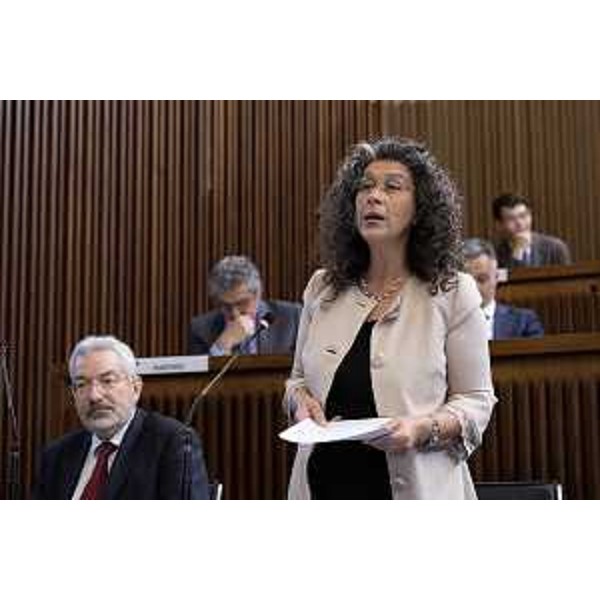 Serena Pellegrino (Avs) - Serena Pellegrino (Avs)