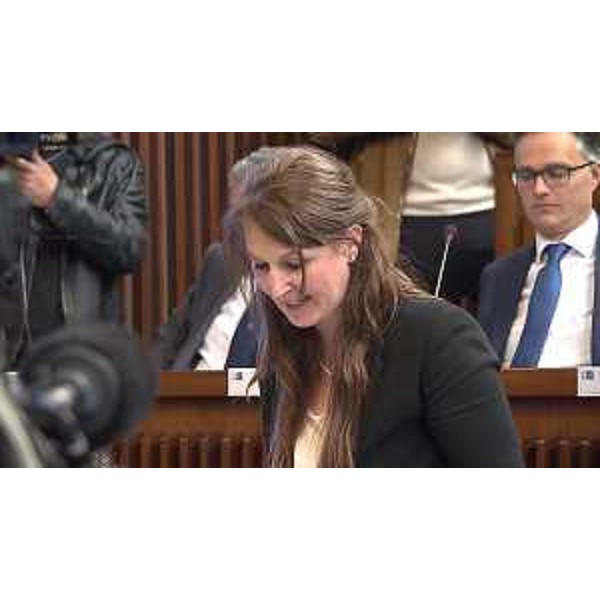 Rosaria Capozzi (M5S) - Rosaria Capozzi (M5S)