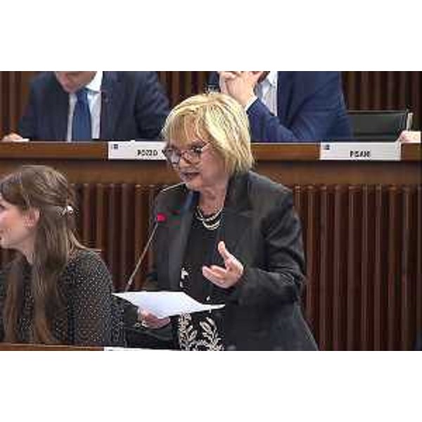 Laura Fasiolo (Pd) - Laura Fasiolo (Pd) 