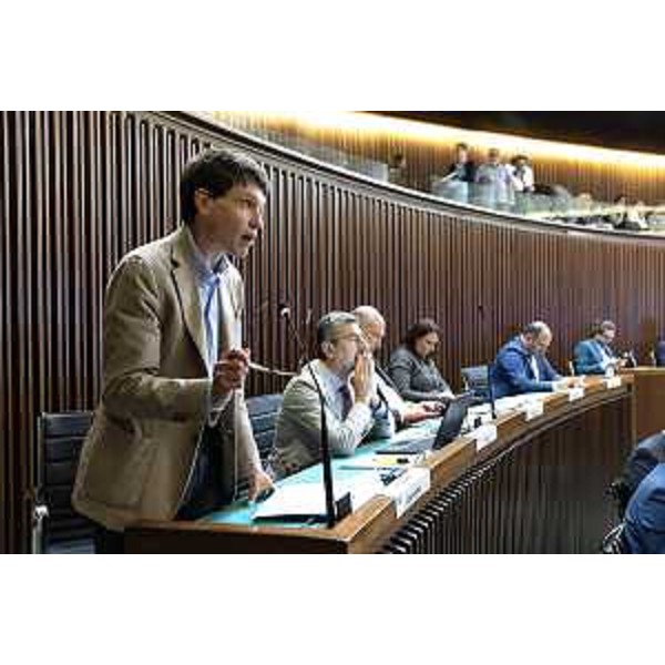 Nicola Conficoni (Partito democratico) - Nicola Conficoni (Partito democratico)