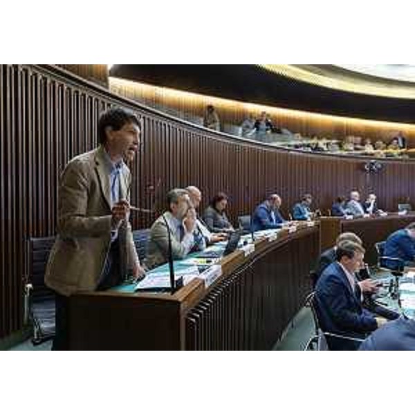 Nicola Conficoni (Pd) - Nicola Conficoni (Pd)