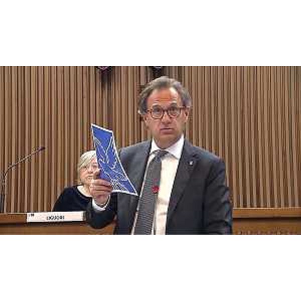 Mauro Di Bert (Fedriga Presidente) - Mauro Di Bert (Fedriga Presidente)