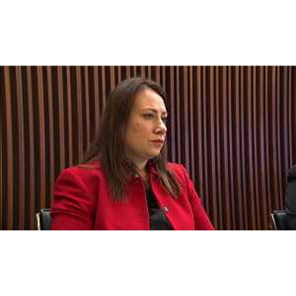 Manuela Celotti (Pd) - Manuela Celotti (Pd)