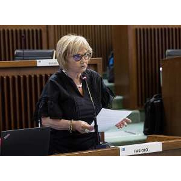 Laura Fasiolo (Partito democratico) - Laura Fasiolo (Partito democratico)