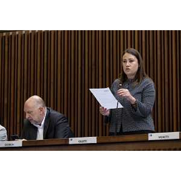 Manuela Celotti (Partito democratico) - Manuela Celotti (Partito democratico)