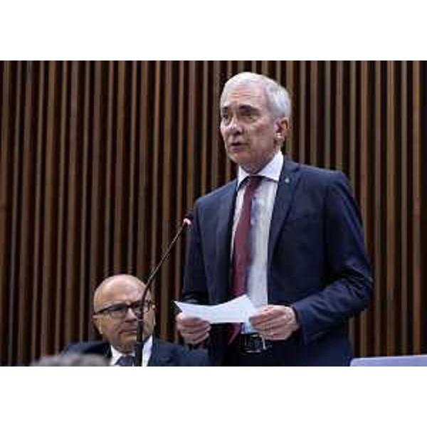 Roberto Novelli (Forza Italia) - Roberto Novelli (Forza Italia)