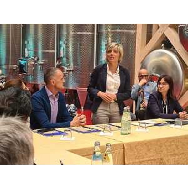 L'assessore alle Finanze Barbara Zilli durante l'incontro organizzato dal Cosilt con imprese e sindaci del territorio della Carnia e dell'Alto Friuli - L'assessore alle Finanze Barbara Zilli durante l'incontro organizzato dal Cosilt con imprese e sindaci del territorio della Carnia e dell'Alto Friuli