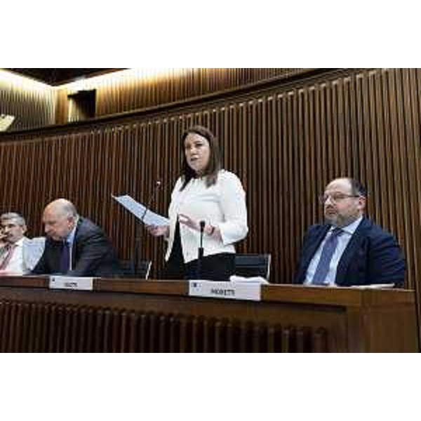 Manuela Celotti (Pd) - Manuela Celotti (Pd)