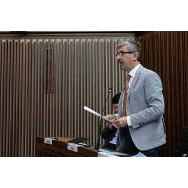 Andrea Carli (Pd) - Andrea Carli (Pd)