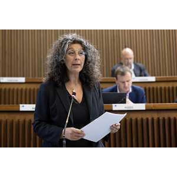 Serena Pellegrino (Alleanza Verdi e Sinistra) - Serena Pellegrino (Alleanza Verdi e Sinistra)