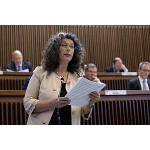 Serena Pellegrino (Alleanza Verdi Sinistra Fvg) - Serena Pellegrino (Alleanza Verdi Sinistra Fvg)