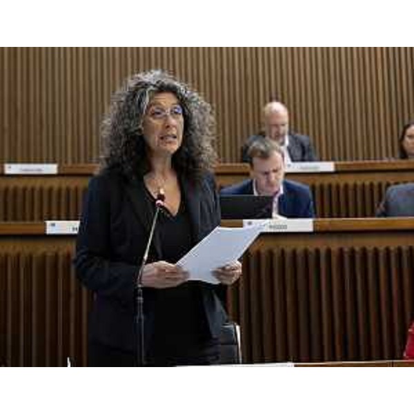 Serena Pellegrino (Alleanza Verdi e Sinistra) - Serena Pellegrino (Alleanza Verdi e Sinistra)