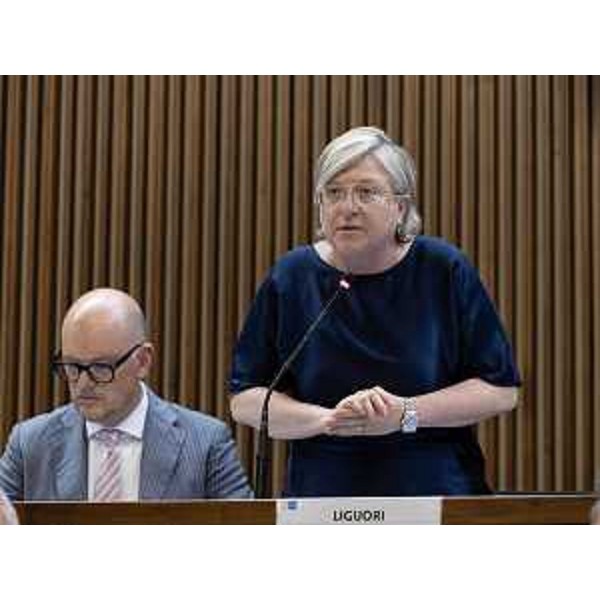 Simona Liguori (Patto-Civica) - Simona Liguori (Patto-Civica)