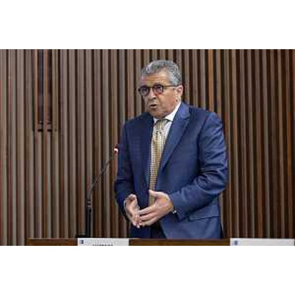 Francesco Martines (Partito democratico) - Francesco Martines (Partito democratico)