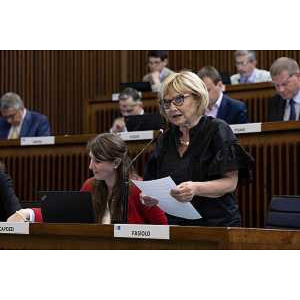 Laura Fasiolo (Pd) - Laura Fasiolo (Pd)