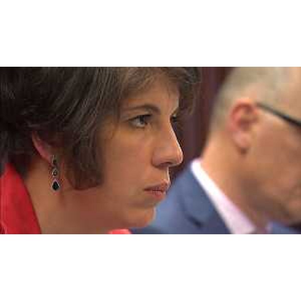 Giulia Massolino (Patto per l'Autonomia-Civica Fvg) - Giulia Massolino (Patto per l'Autonomia-Civica Fvg)