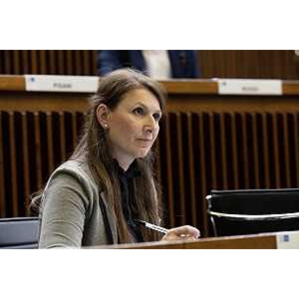 Rosaria Capozzi (M5S) - Rosaria Capozzi (M5S)