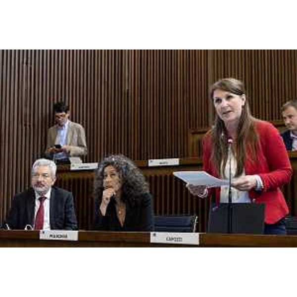 Rosaria Capozzi (M5S) durante un intervento in Aula - Rosaria Capozzi (M5S) durante un intervento in Aula