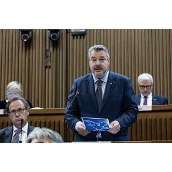 Diego Bernardis (Fedriga presidente) - Diego Bernardis (Fedriga presidente)