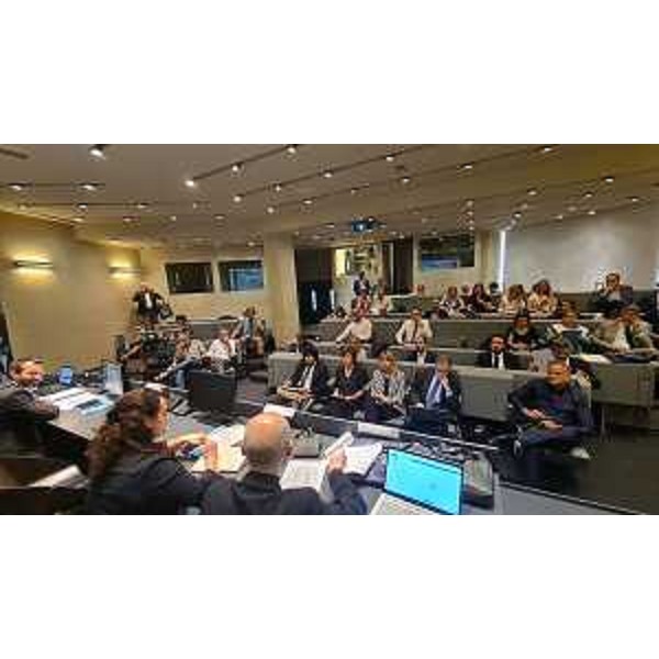 Una fase dei lavori del consiglio nazionale Andisu a Trieste - Una fase dei lavori del consiglio nazionale Andisu a Trieste