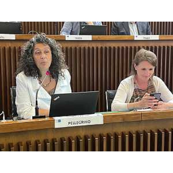 Da sinistra, Serena Pellegrino (Avs) e Rosaria Capozzi (M5S) - Da sinistra, Serena Pellegrino (Avs) e Rosaria Capozzi (M5S)