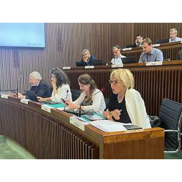 Laura Fasiolo (Pd) - Laura Fasiolo (Pd)