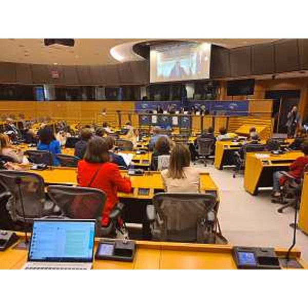 Una veduta della sala in cui si è tenuto l'incontro a Bruxelles - Una veduta della sala in cui si è tenuto l'incontro a Bruxelles