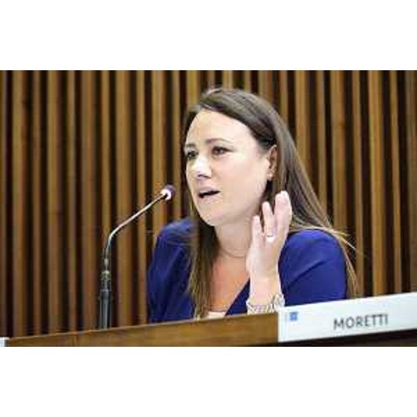 Manuela Celotti (Pd) - IV Commissione, ACON