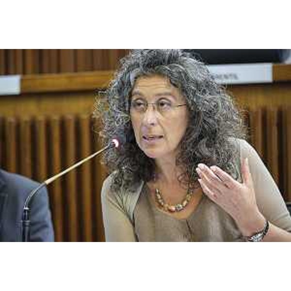 Serena Pellegrino (Avs) - IV Commissione, ACON