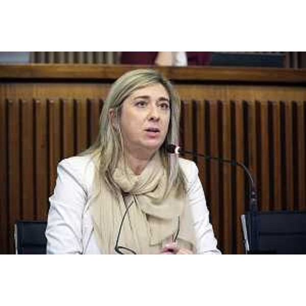 L'assessore Fvg alle Infrastrutture, Cristina Amirante - IV Commissione, ACON