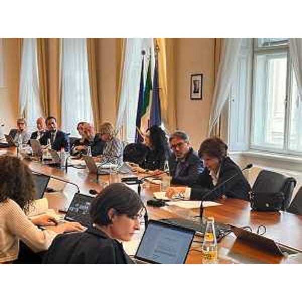 La riunione del Comitato di sorveglianza del Fondo sociale europeo - La riunione del Comitato di sorveglianza del Fondo sociale europeo