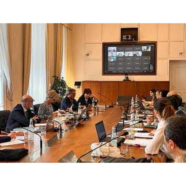 La riunione del Comitato di sorveglianza del Fondo sociale europeo - La riunione del Comitato di sorveglianza del Fondo sociale europeo