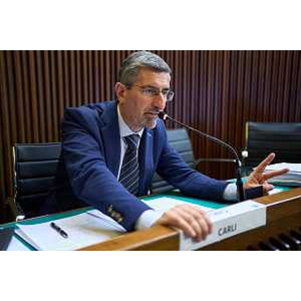 Andrea Carli (Pd) - Andrea Carli (Pd)