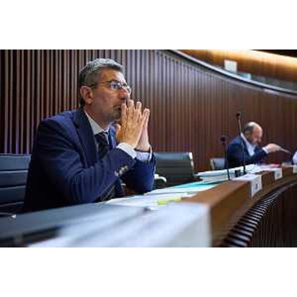 Andrea Carli (Pd) - Andrea Carli (Pd)