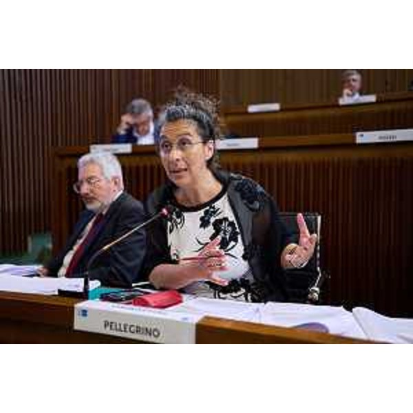 Serena Pellegrino (Alleanza Verdi Sinistra) - Prima Commissione Integrata